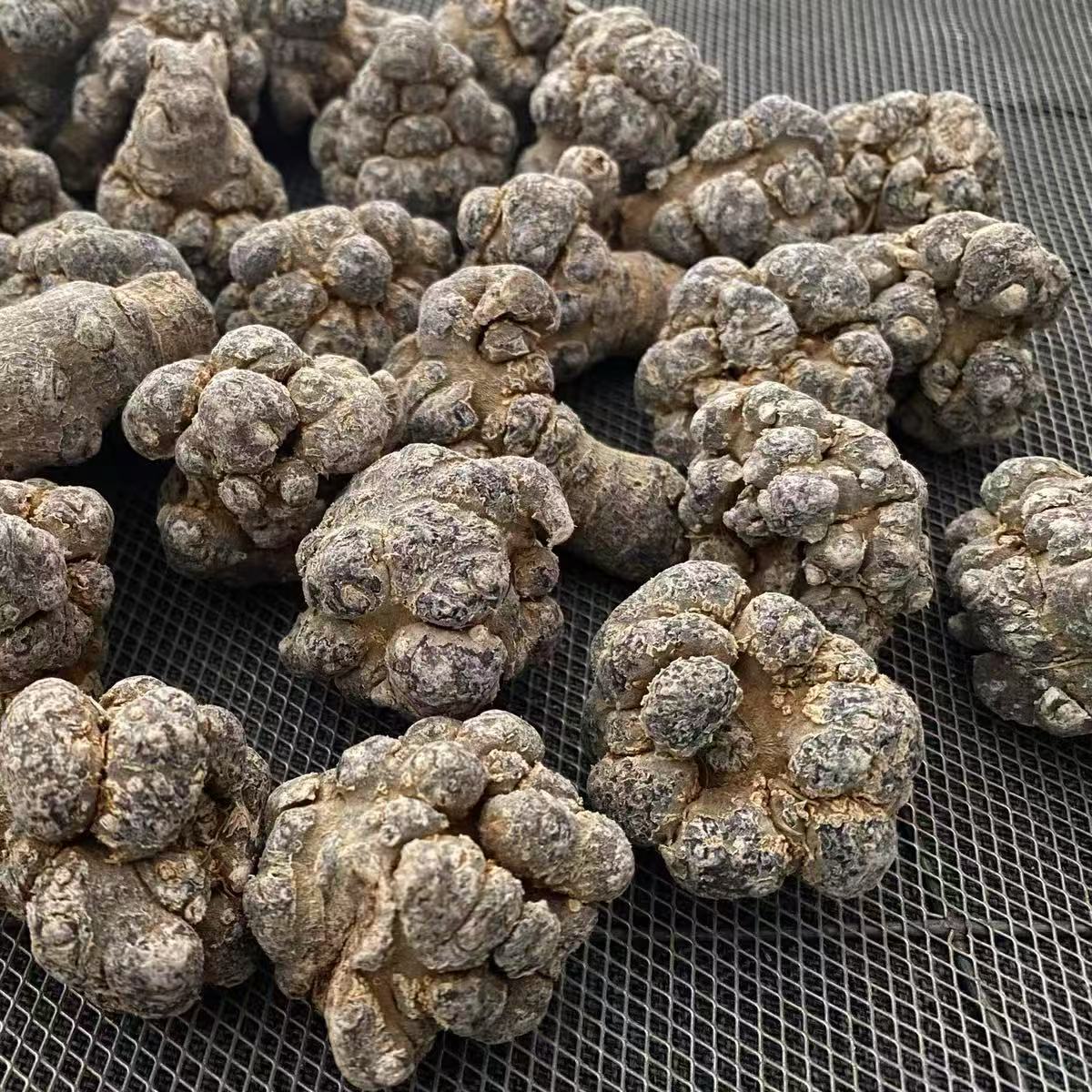三七 pseudo-ginseng