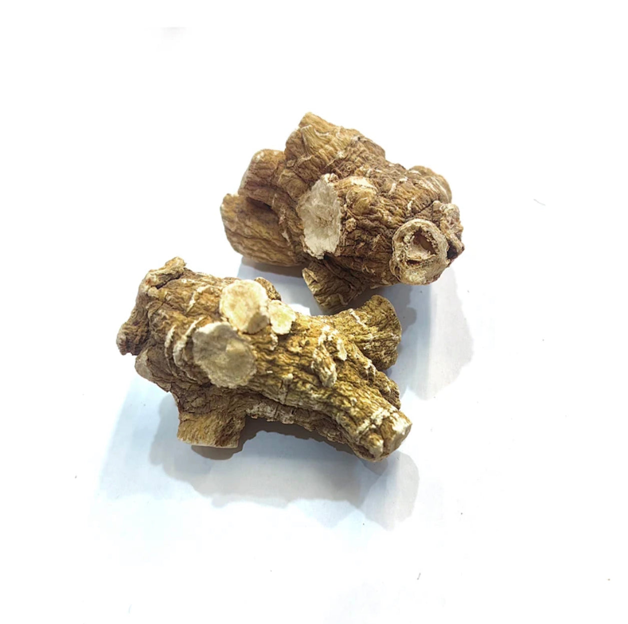 美国花旗参 American Ginseng