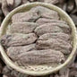 乌天麻 Rhizoma Gastrodiae