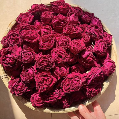 墨红玫瑰 Ink Red Rose