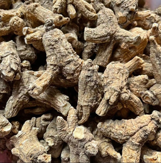 美国花旗参 American Ginseng