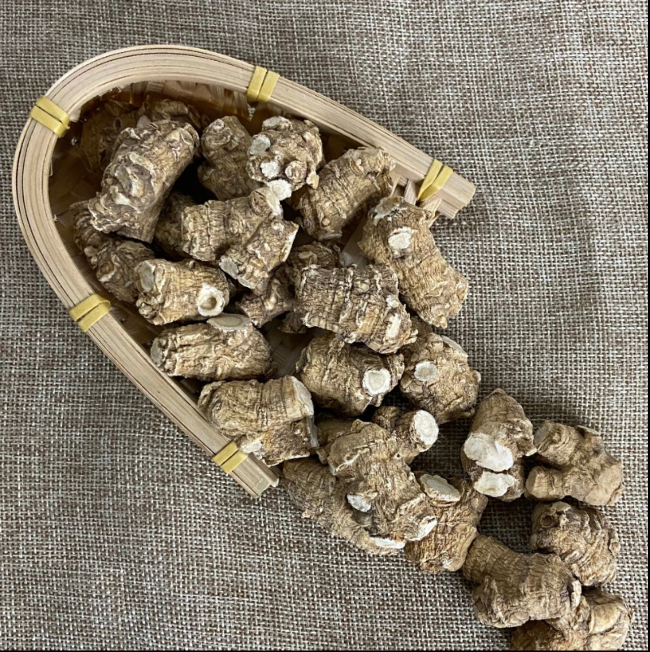 美国花旗参 American Ginseng