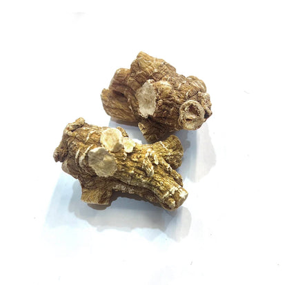 美国花旗参 American Ginseng